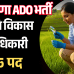 HPSC ADO Vacancy 2025