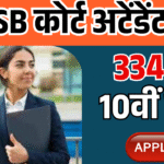 DSSSB Court Attendant Vacancy