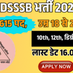 DSSSB Recruitment 2025