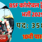 BSF Constable Tradesman 3588 Vacancy Recruitment 2025