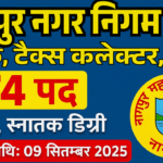 NMC Junior Clerk, Tax Collector, Steno vacancy 2025