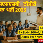 DSSSB TGT Teacher Recruitment 2025
