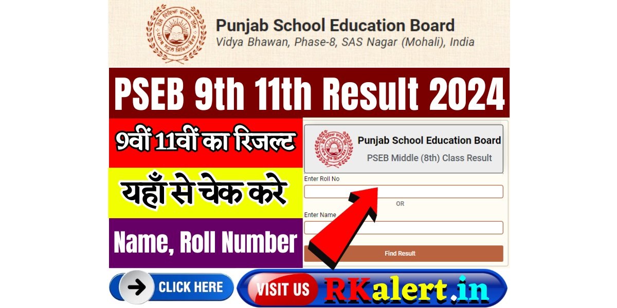 Punjab Board 9th 11th Result