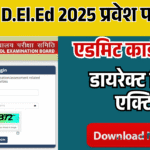 बिहार D.El.Ed 2025 Admit Card जारी