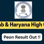 Punjab and Haryana High Court Peon Result